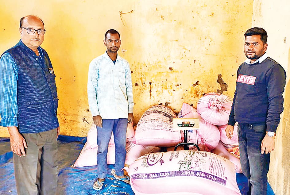 Hajipur News : वैशाली जिले में 614.167 एमटी धान की हुई खरीदारी