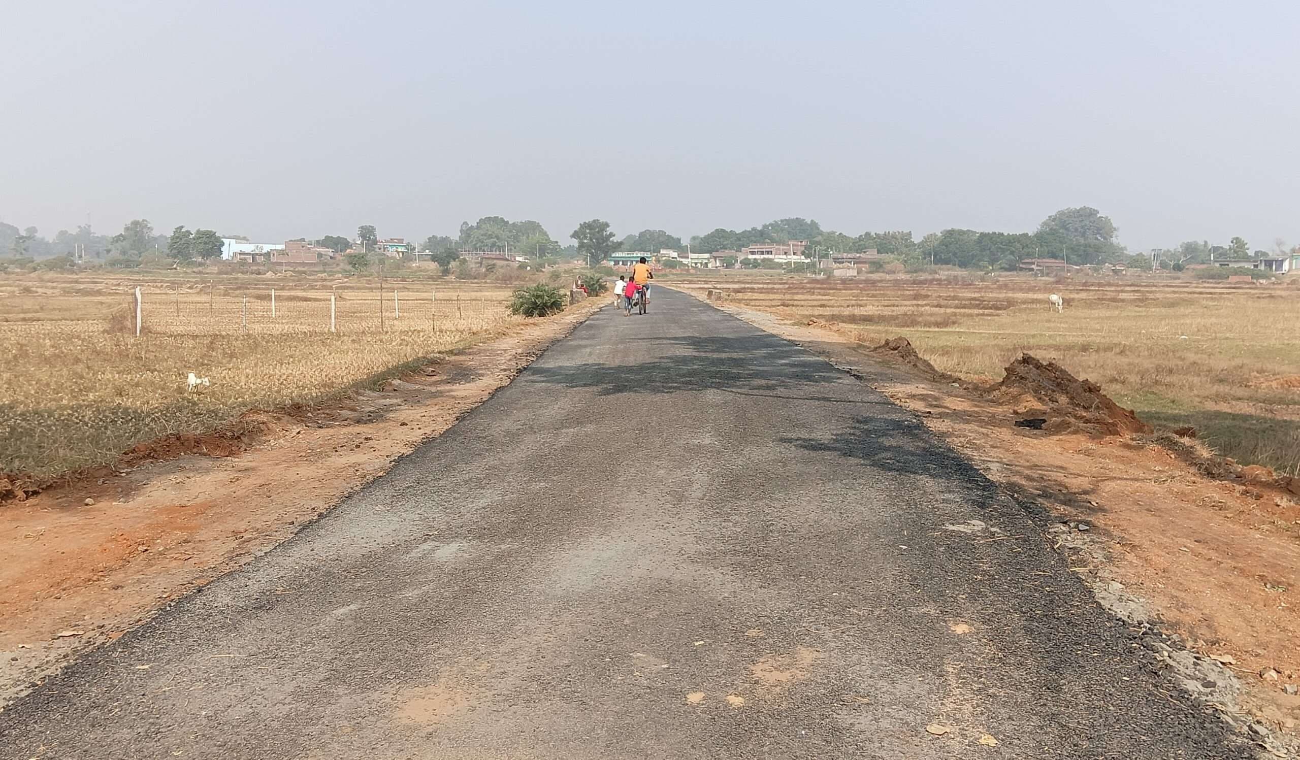 Giridih News :पिचिंग के साथ ही उखड़ने लगी सड़क