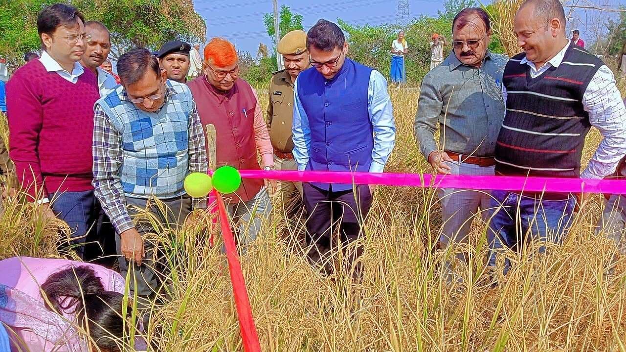 उदवंतनगर में 63 क्विंटल प्रति हेक्टेयर आंकी गयी धान की पैदावार