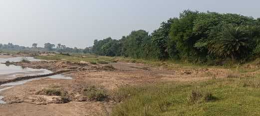 बालू उठाव से सिंचाई पर संकट, बसंतराय के किसानों की फसल हो रही प्रभावित