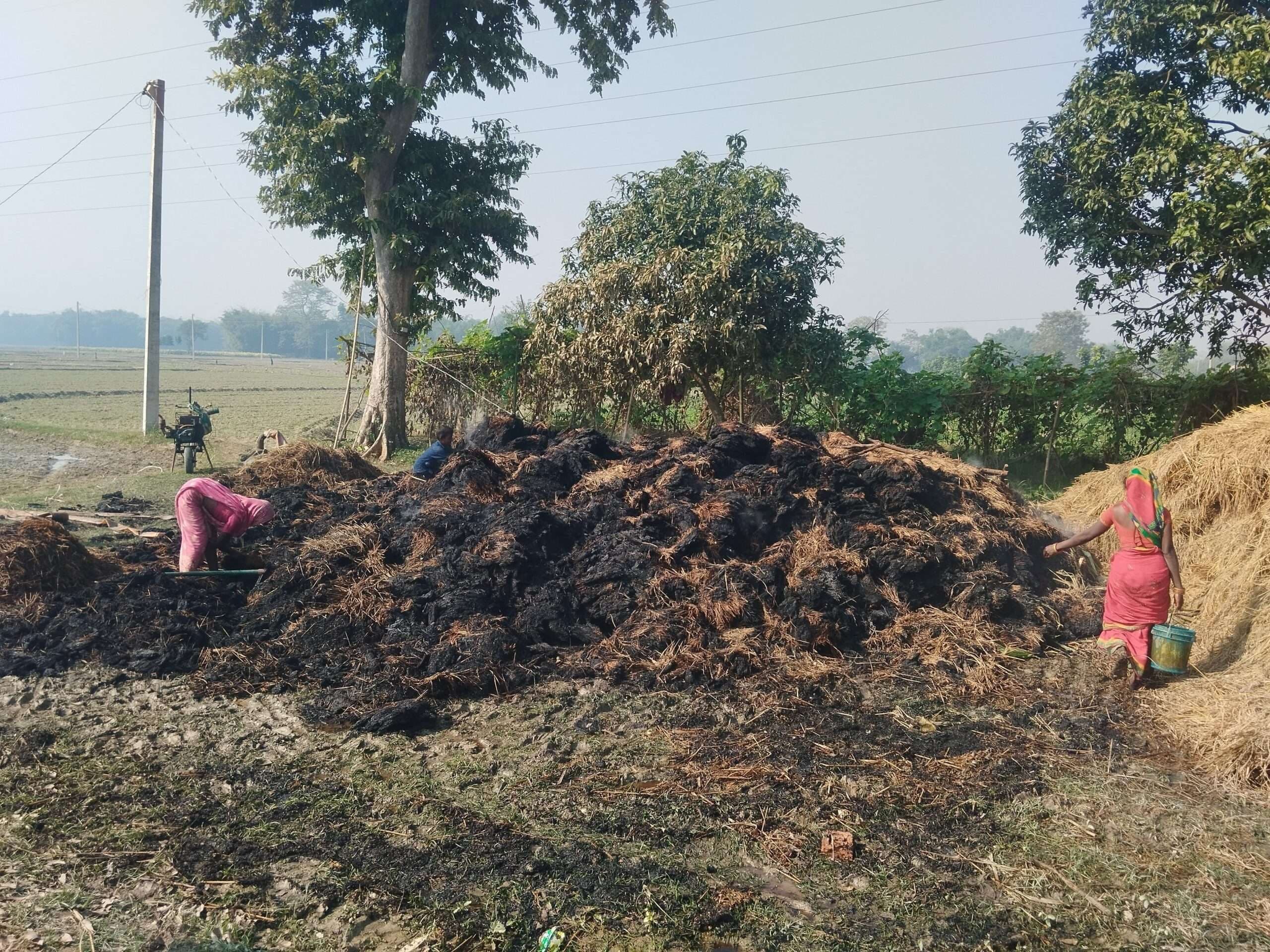 10 एकड़ धान की फसल में लगी आग, लाखों की क्षति, किसान हताश