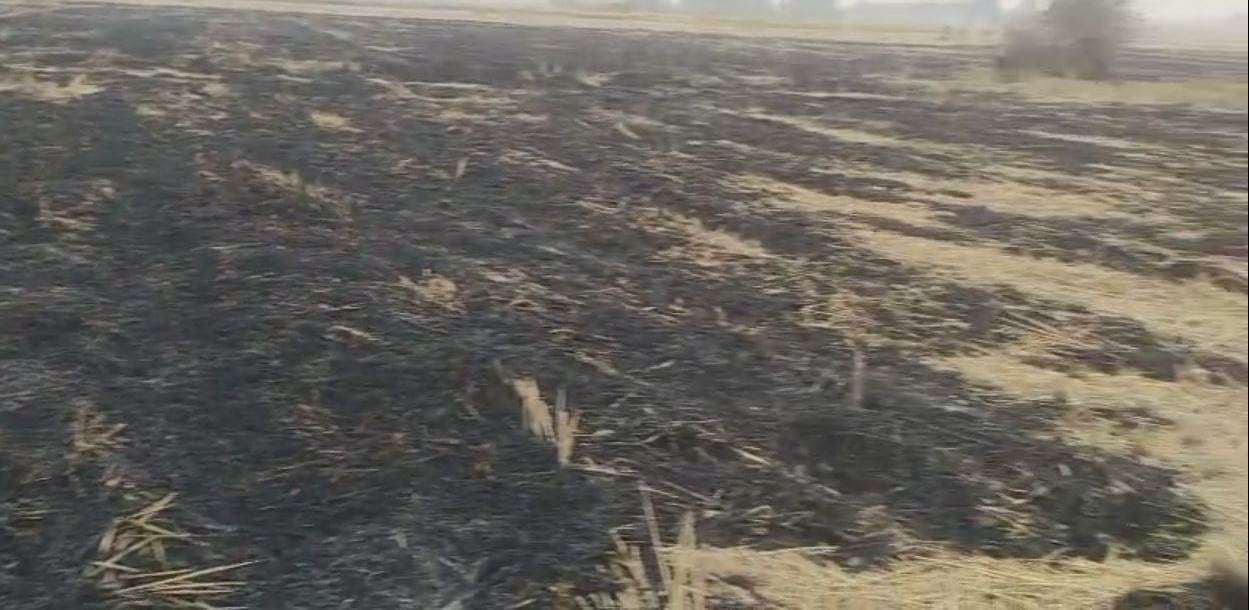 पराली में आग लगाना पड़ा महंगा, धान की फसल जलकर रख