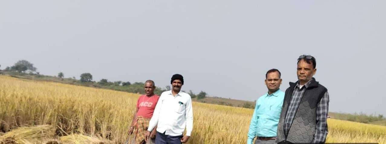 जिला भू संरक्षण सर्वेक्षण पदाधिकारी ने धान का किया मापी