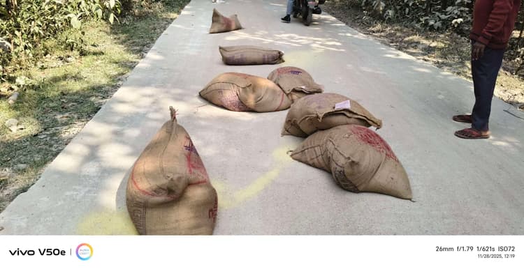 Giridih News :डीएसडी वाहनों में ओवरलोड कर भेजा जा रहा अनाज, रास्ते में गिरकर हो रहा बर्बाद