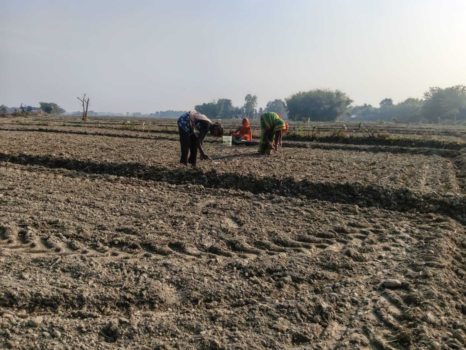 रबी सीजन शुरू होते ही खाद संकट शुरु, किसान परेशान