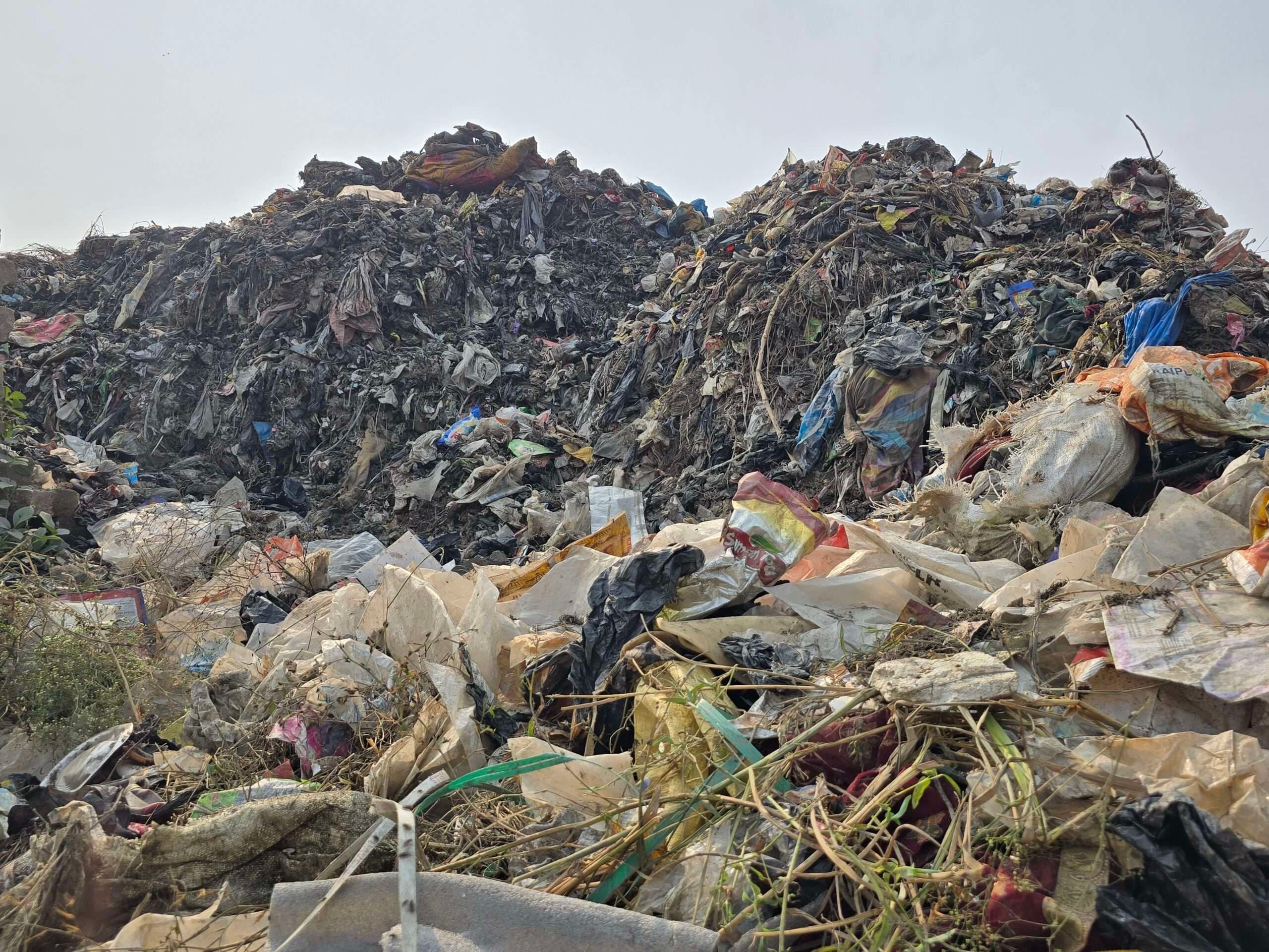 स्वच्छता सर्वेक्षण 2025 : प्रोसेसिंग व डोर टू डोर कलेक्शन पर रहेगा फोकस