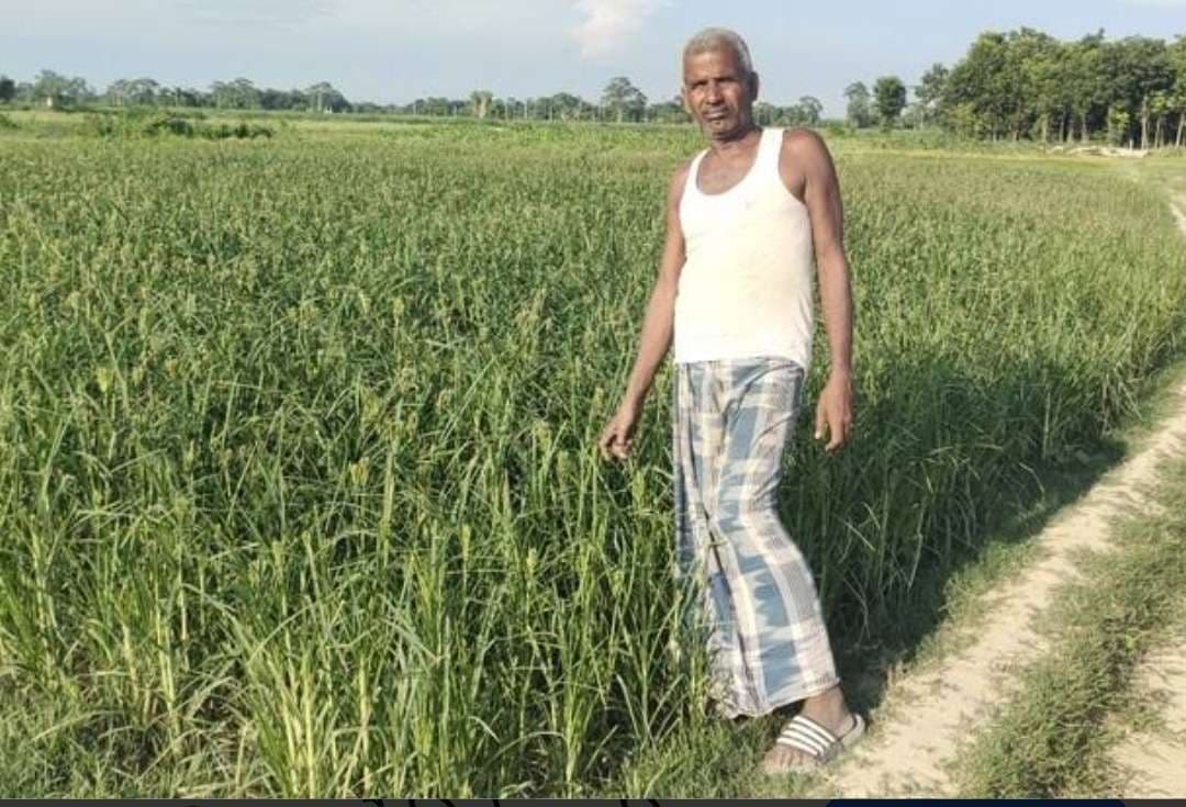 Samastipur News:मधुमेह रोगियों के लिए मिलेट्स बेहतर विकल्प : डॉ मिश्रा