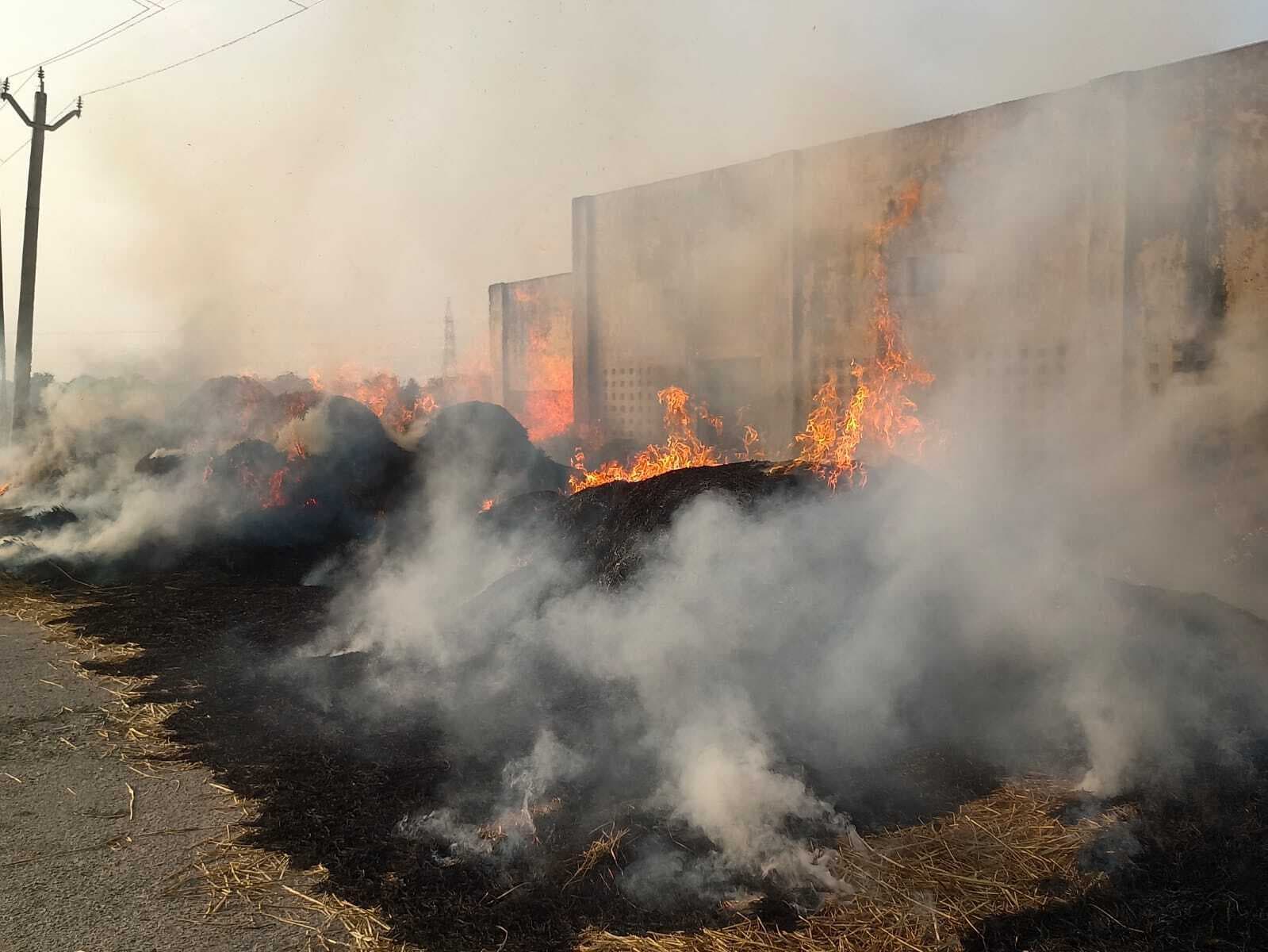 धान की फसल में लगी आग तीन किसानों का फसल खाक