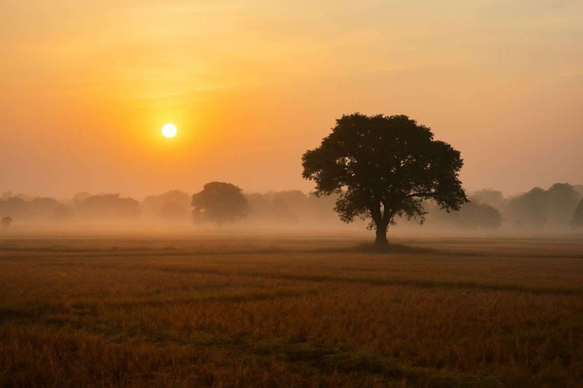 jharkhand Weather Forecast