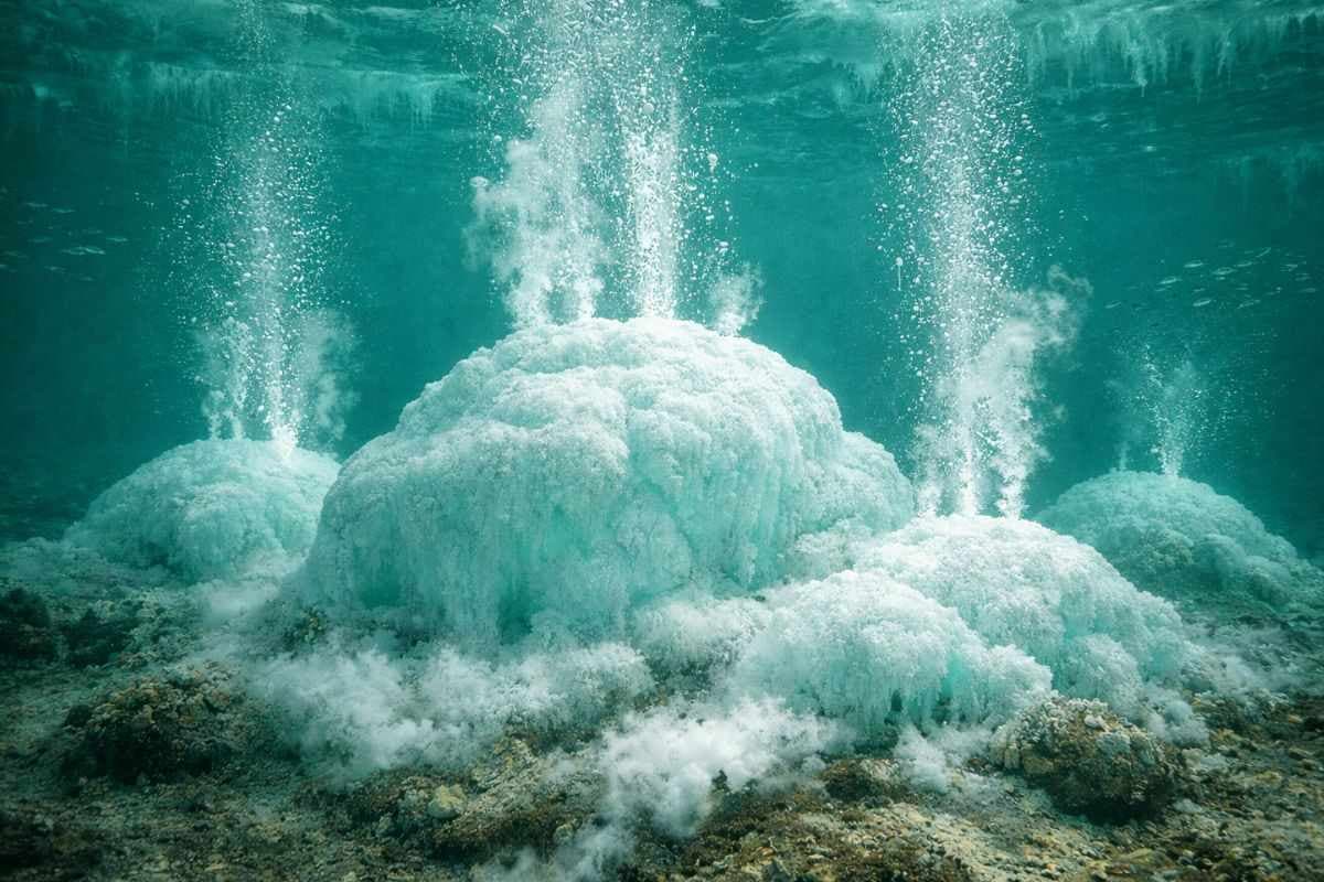 यूं ही नहीं हथियाना चाहते हैं ट्रंप, ग्रीनलैंड में मिला बहुत बड़ा खजाना, वैज्ञानिक भी हुए अलर्ट 