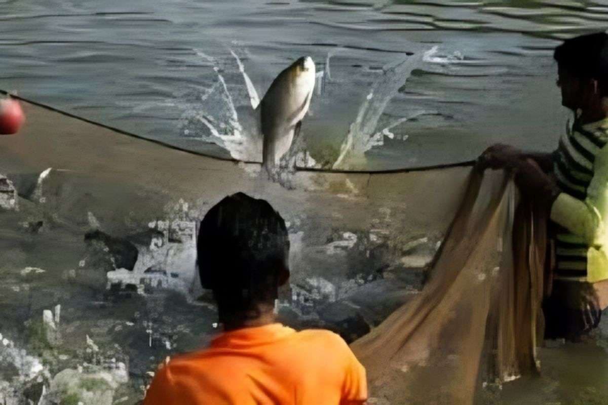 Bihar Fisheries Scheme: बिहार में मछुआरों की बल्ले-बल्ले, अब सिर्फ 10% खर्च पर मिलेगी सब्सिडी, जाने कैसे करें अप्लाई