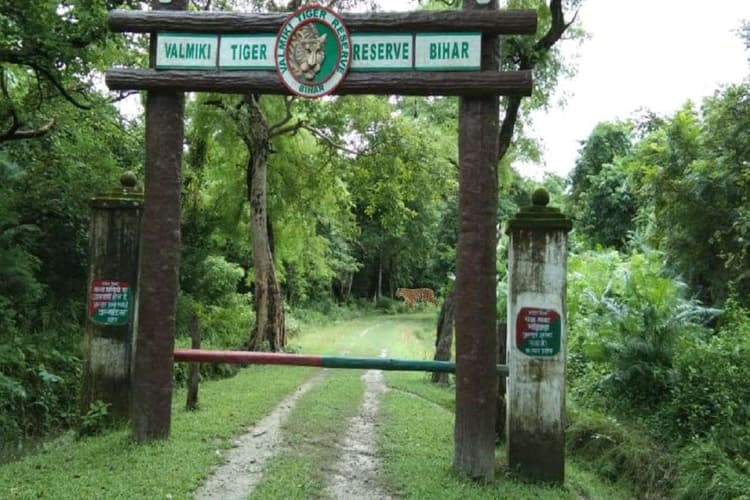 नए साल पर सुकून की तलाश? बिहार का VTR परफेक्ट टूरिस्ट डेस्टिनेशन