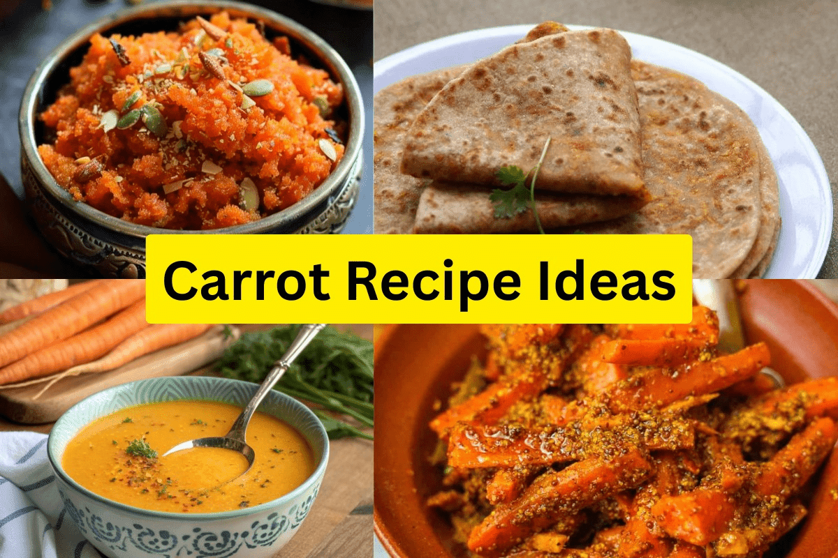 Carrot Recipe Ideas: ठंड के मौसम में ट्राय करें गाजर की मजेदार, पौष्टिक और जल्दी बनने वाली रेसिपीज