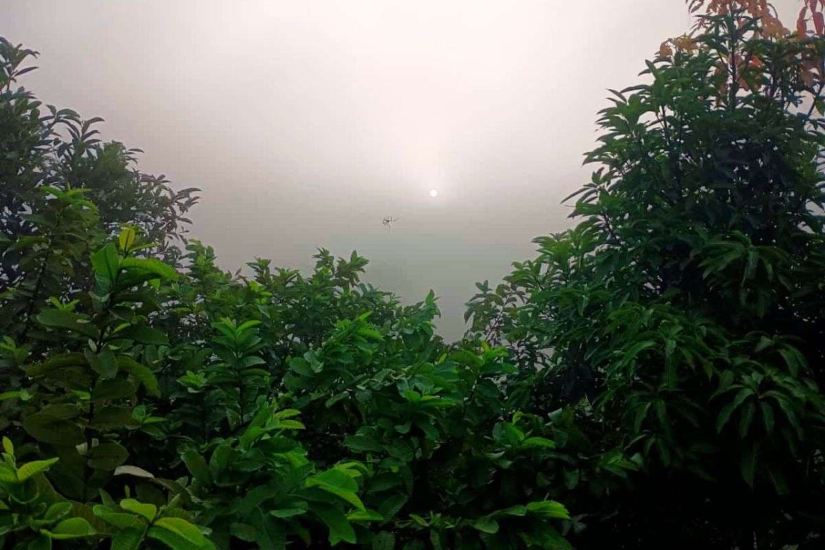 पश्चिमी विक्षोभ और दित्वा चक्रवात का झारखंड में दिखेगा असर, 3 दिसंबर से सतायेगी शीतलहर