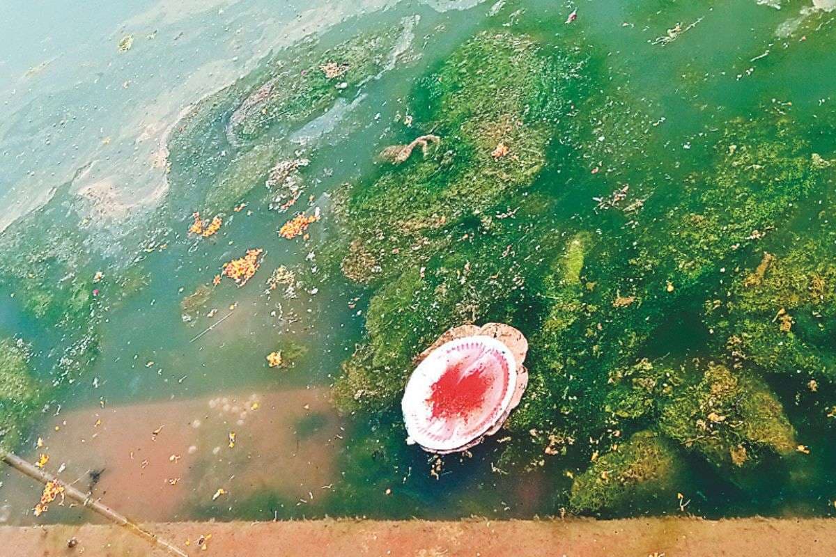 Gayaji: जहरीला हुआ गयाजी डैम, मिनी पितृपक्ष मेले पर मंडराया संकट