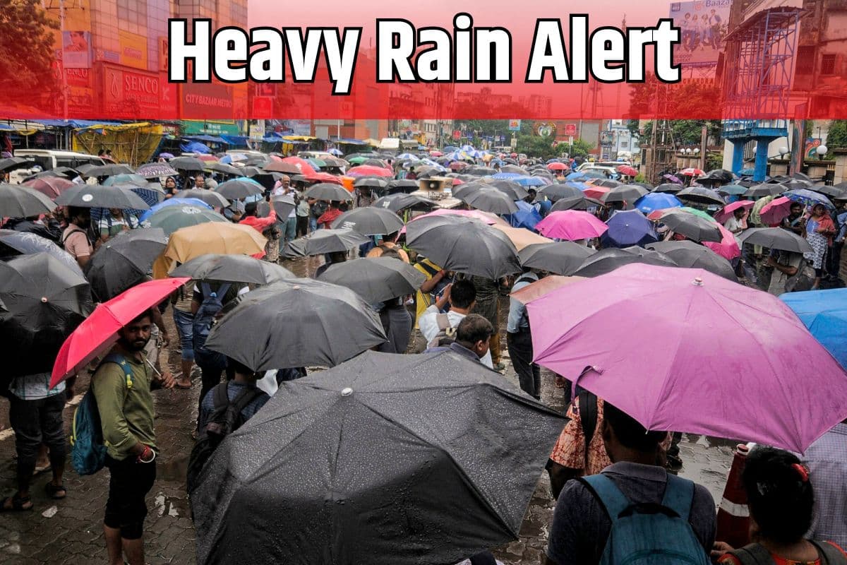 Heavy Rain Alert