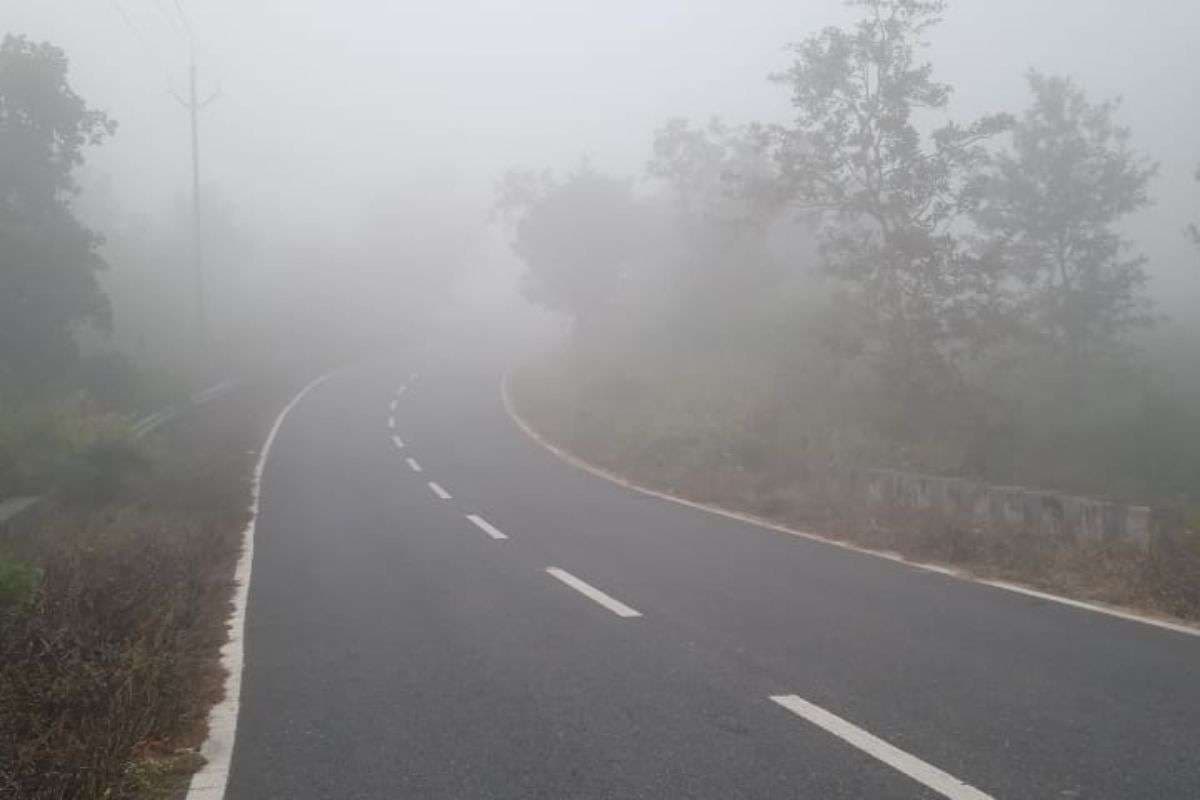 कोहरे में लिपटी पलामू, जानें कैसा रहा झारखंड का मौसम