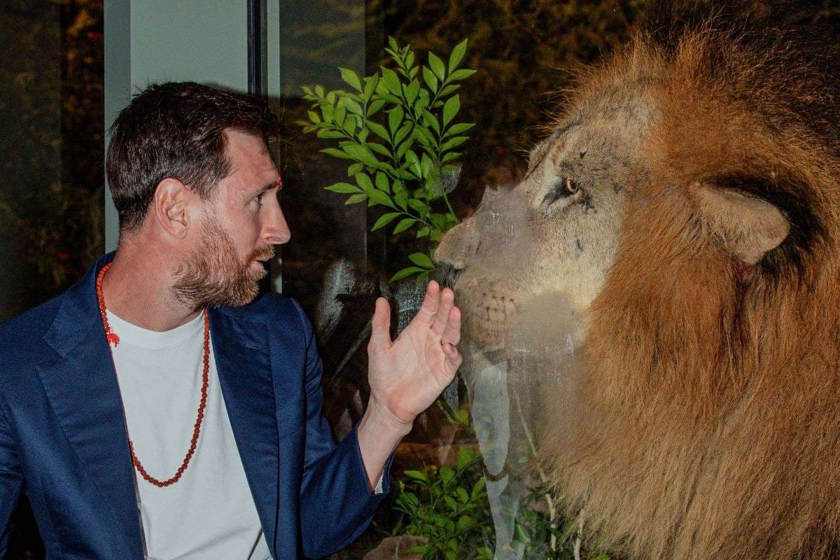 शेर के साथ दिखा GOAT, अनंत अंबानी के Vantara से Lionel Messi का पहला VIDEO आया सामने