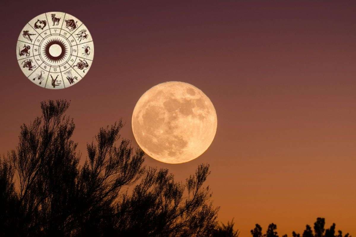 Margashirsha Purnima 2025 Rashifal Effect: मार्गशीर्ष पूर्णिमा पर बदल जाएगी ग्रहों की चाल, देखें मेष से लेकर मीन राशि को क्या मिलेगा फायदा