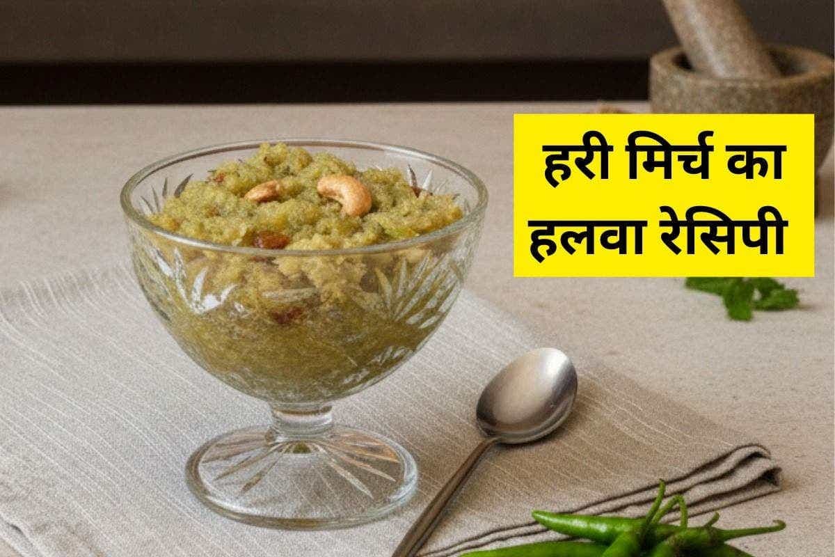 Mirchi Ka Halwa Recipe: हरी मिर्च से बने इस खास हलवे का अनोखा स्वाद ट्राय करें, बनाना भी है बहुत आसान