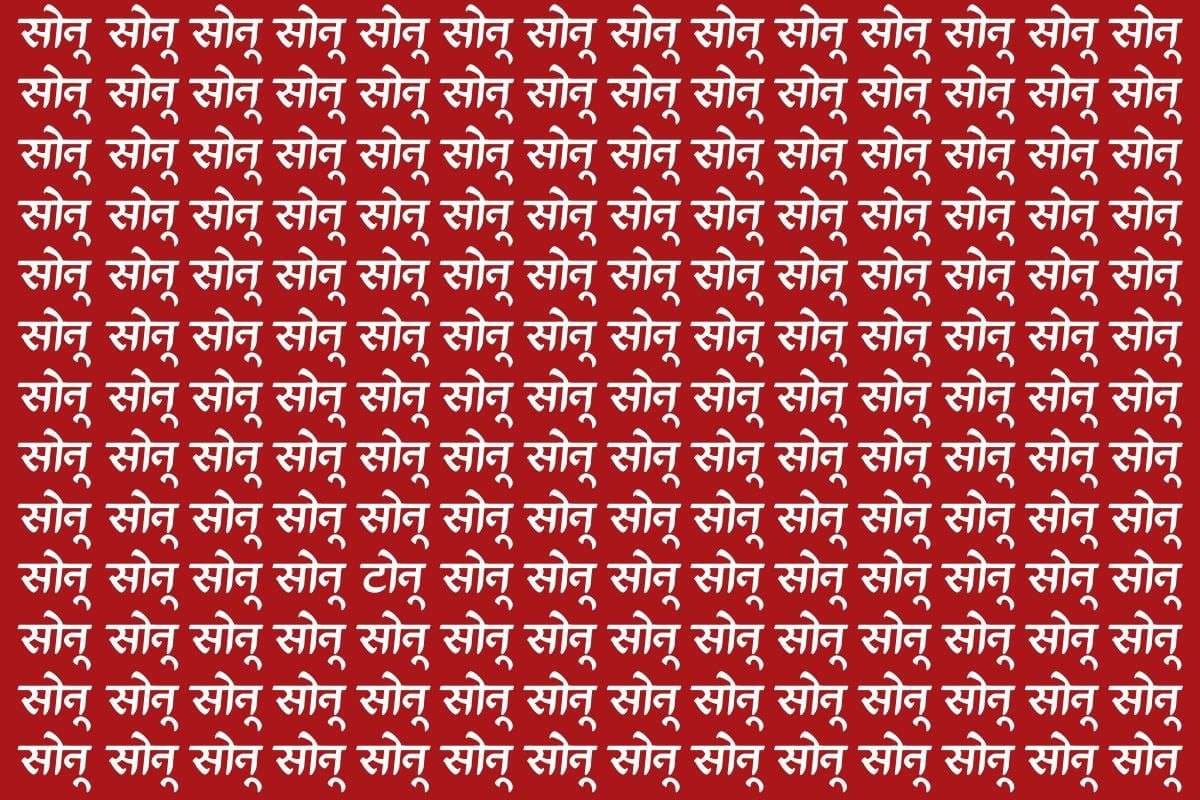 Optical Illusion: पहेलियों के बाजीगर ही सिर्फ ढूंढ पाएंगे इस फोटो में टोनू, 10 सेकंड के अंदर खोजने का है चैलेंज
