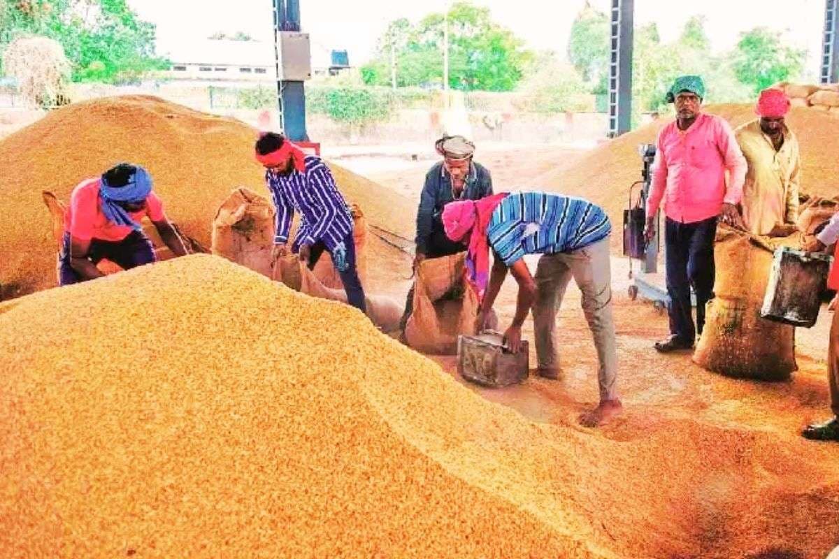 झारखंड में 60 लाख क्विंटल धान अधिप्राप्ति का लक्ष्य, कल से शुरू होगी खरीदारी