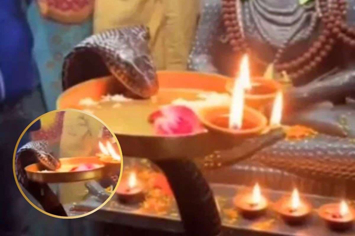 Viral Video : सांप की आरती वाला वीडियो देखकर सब हैरान, लेकिन जान लें इसकी सच्चाई