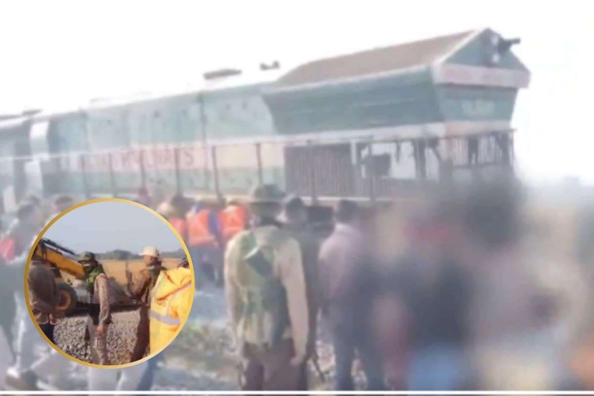 Train Accident Video : राजधानी एक्सप्रेस की चपेट में आए हाथी, 8 की मौत, वीडियो आया सामने