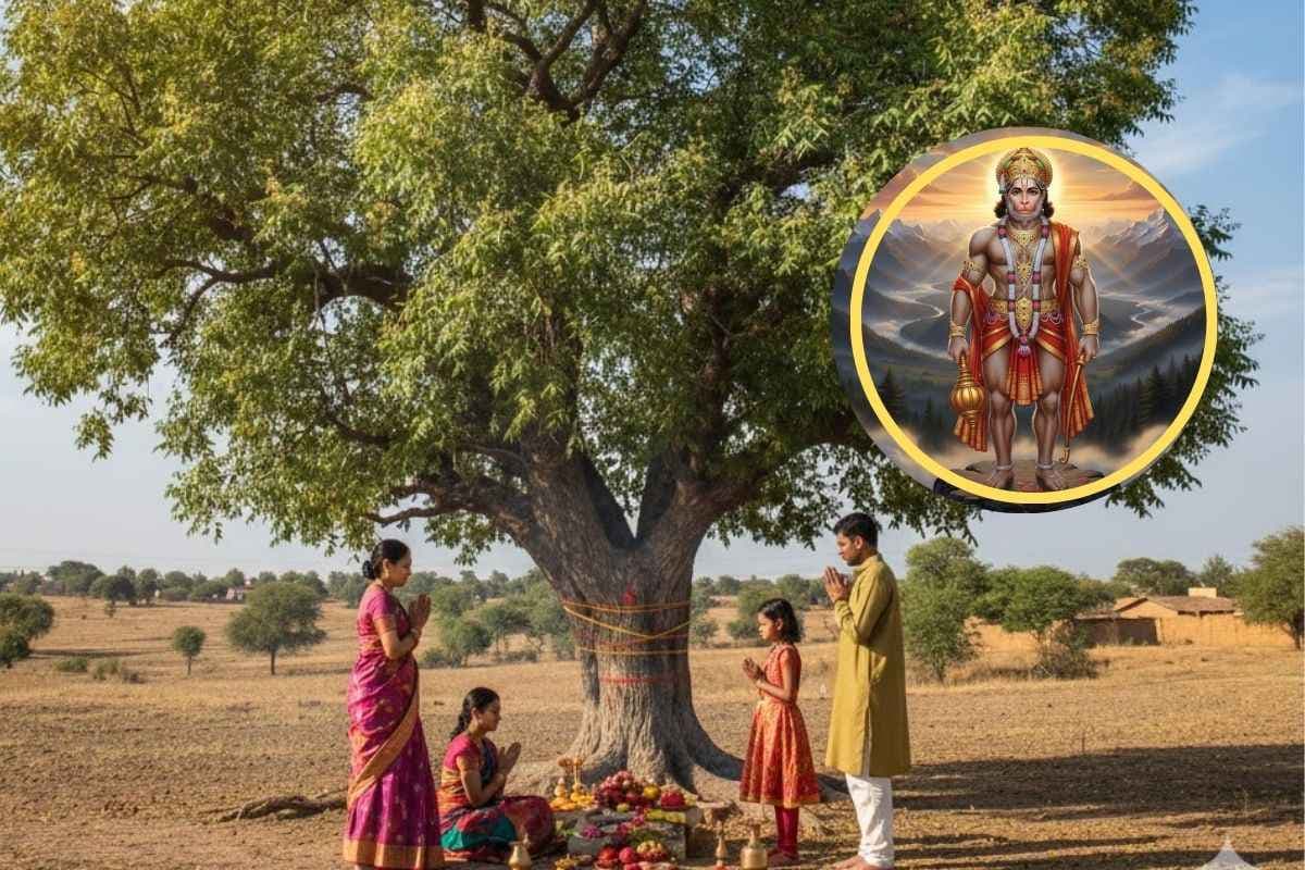 Neem Tree Worship: मंगलवार को नीम के पेड़ की पूजा क्यों है खास? जानिए हनुमान जी से जुड़ा महत्व