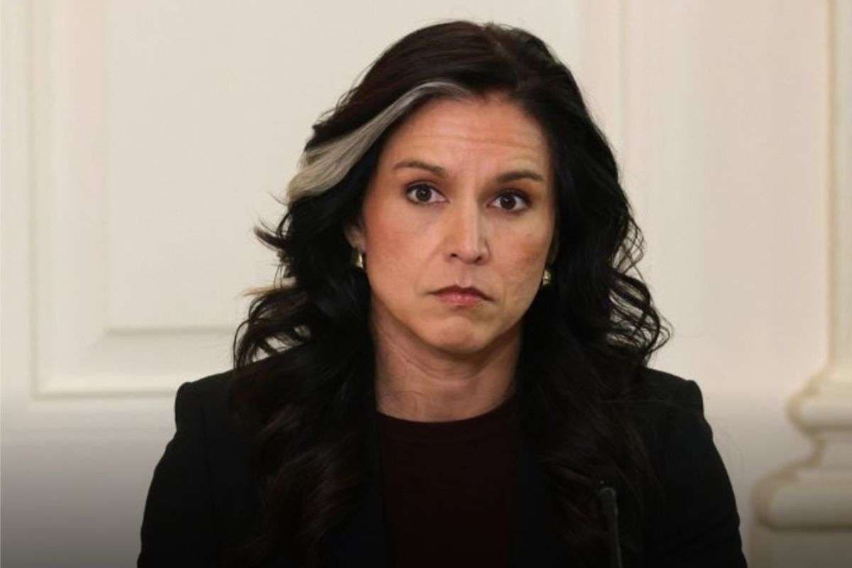 Tulsi Gabard on Russia Ukraine War