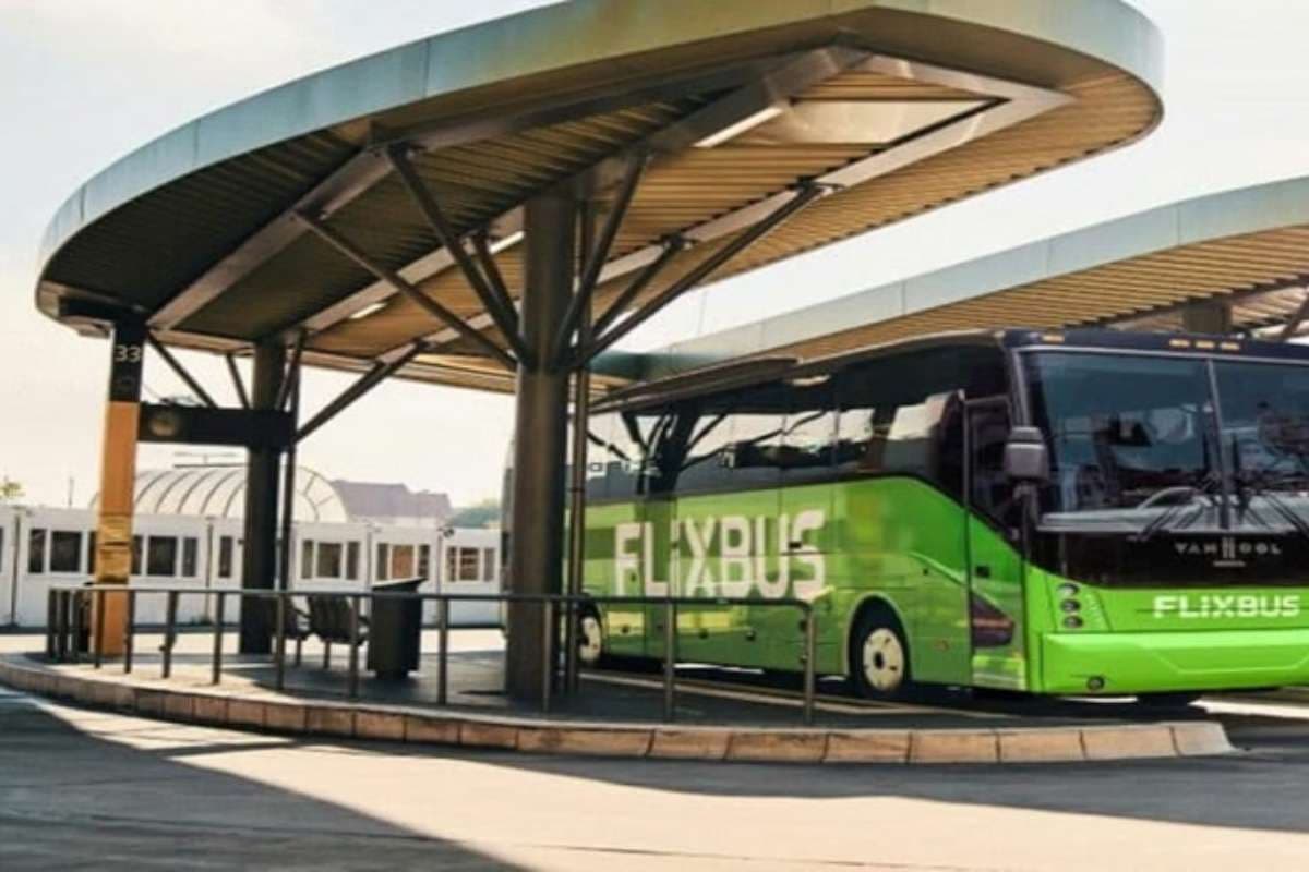 UP News: नोएडा इंटरनेशनल एयरपोर्ट से बस सेवा शुरू, दिल्ली-गाजियाबाद की निर्भरता होगी कम