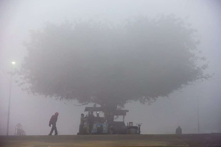 Weather News: दिल्ली यूपी लेकर हरियाणा-पंजाब तक घना कोहरा, इन राज्यों में कोल्ड वेव अलर्ट, मौसम ले रहा करवट