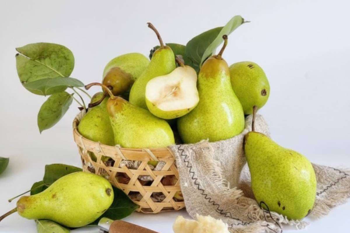 Health Benefits of Pear: World Pear Day 2025 पर जानें नाशपाती खाने के टॉप हेल्थ बेनिफिट्स