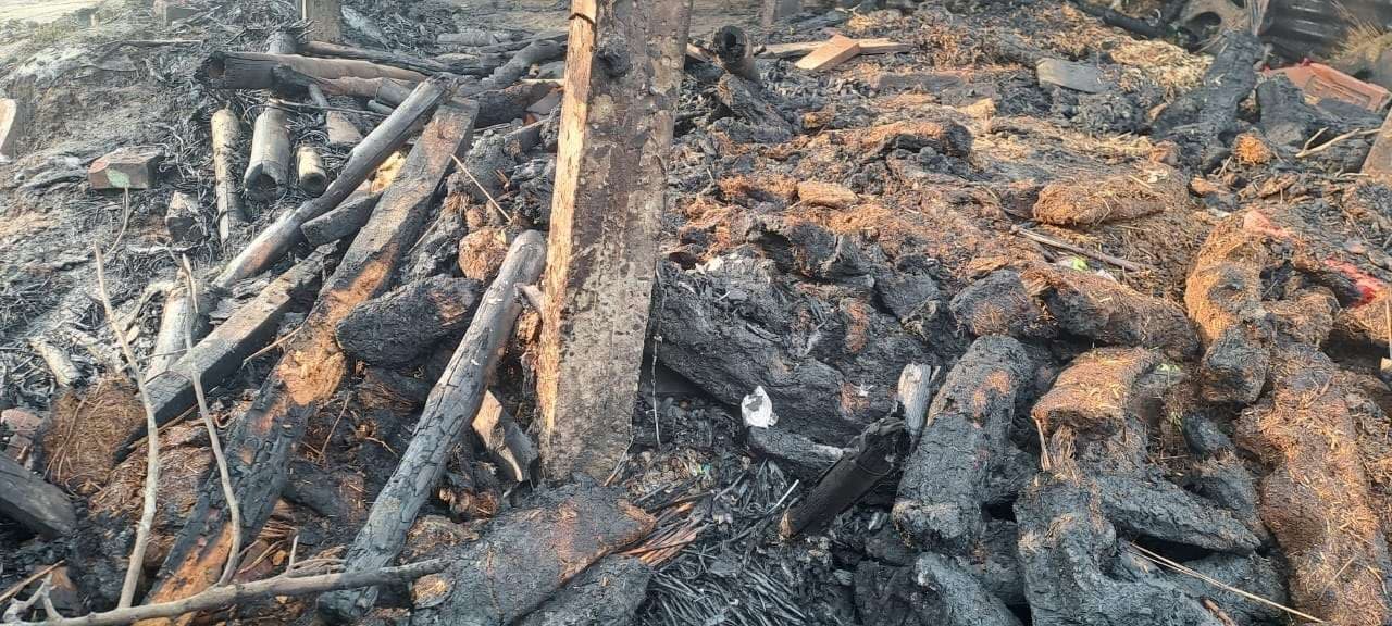 Madhubani News : अगलगी से मवेशी घर जलकर राख, गाय झुलसी