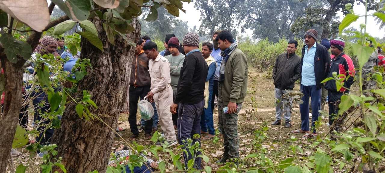 Bokaro News : जंगल में पेड़ से लटका मिला युवक का शव