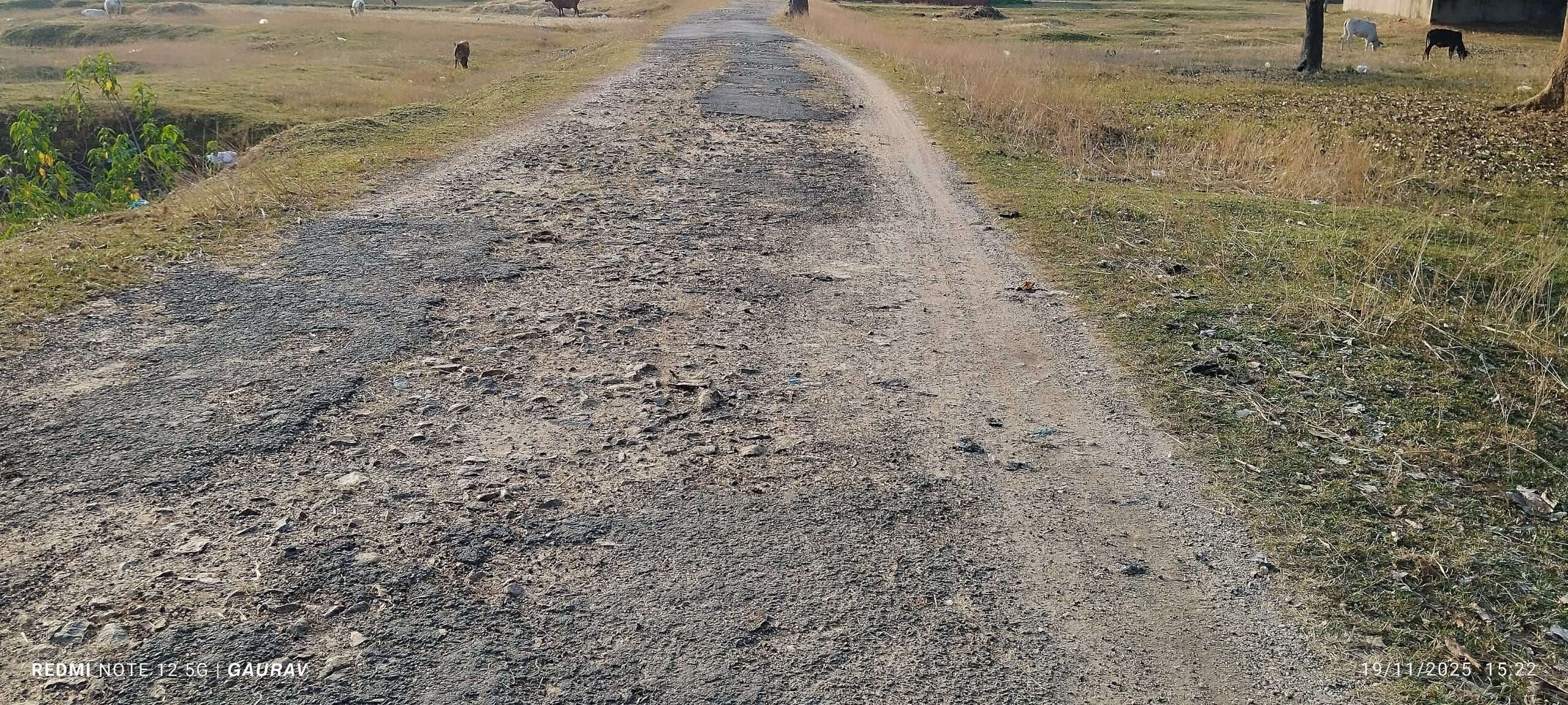 Giridih News :दो प्रखंडों को जोड़ने वाली सड़क हुई जर्जर, बढ़ी परेशानी