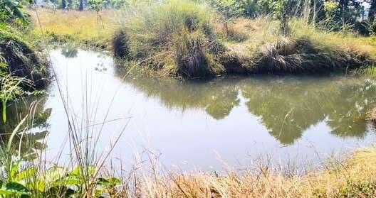 पथरगामा प्रखंड में मनरेगा घोटाले की शिकायत, फर्जी मजदूरी और राशि गबन के आरोप