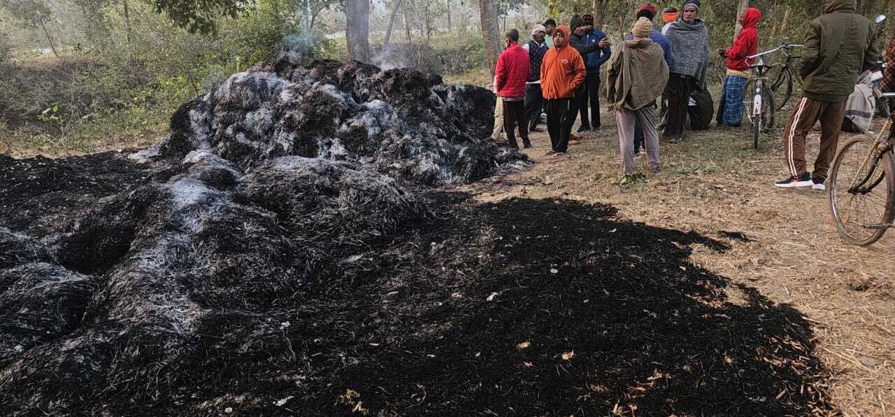 बसडीहां के चार किसानों का धान जलकर राख