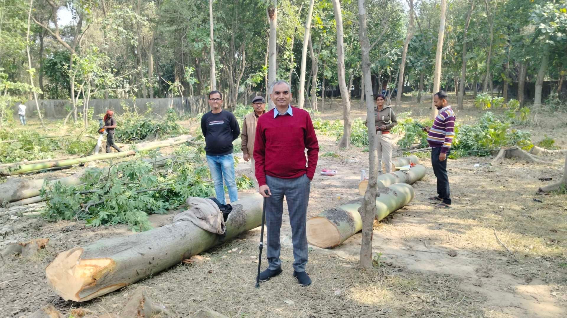 आखिरकार एसटीपी प्लांट निर्माण कार्य की हुई शुरुआत, काटे जा रहे पेड़