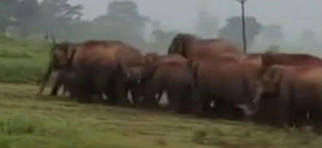 जेपी आश्रम एवं कृषि विज्ञान केंद्र की चहारदीवारी को किया क्षतिग्रस्त