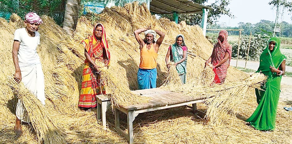 Begusarai News : एमएसपी पर धान की खरीद में विलंब, किसान औने-पौने दाम पर बेचने को हो रहे मजबूर