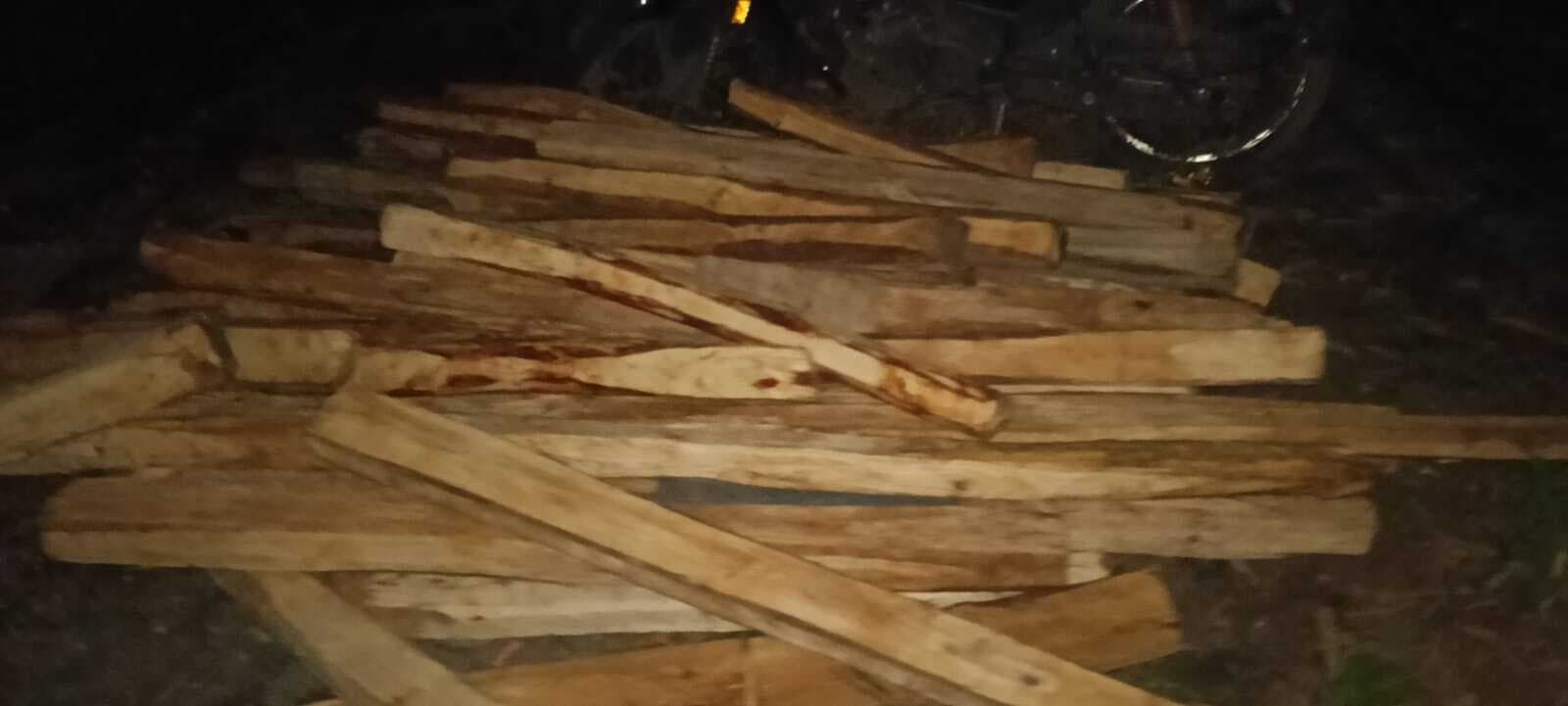 Bokaro News : भारी मात्रा में अवैध लकड़ी जब्त, पांच गिरफ्तार