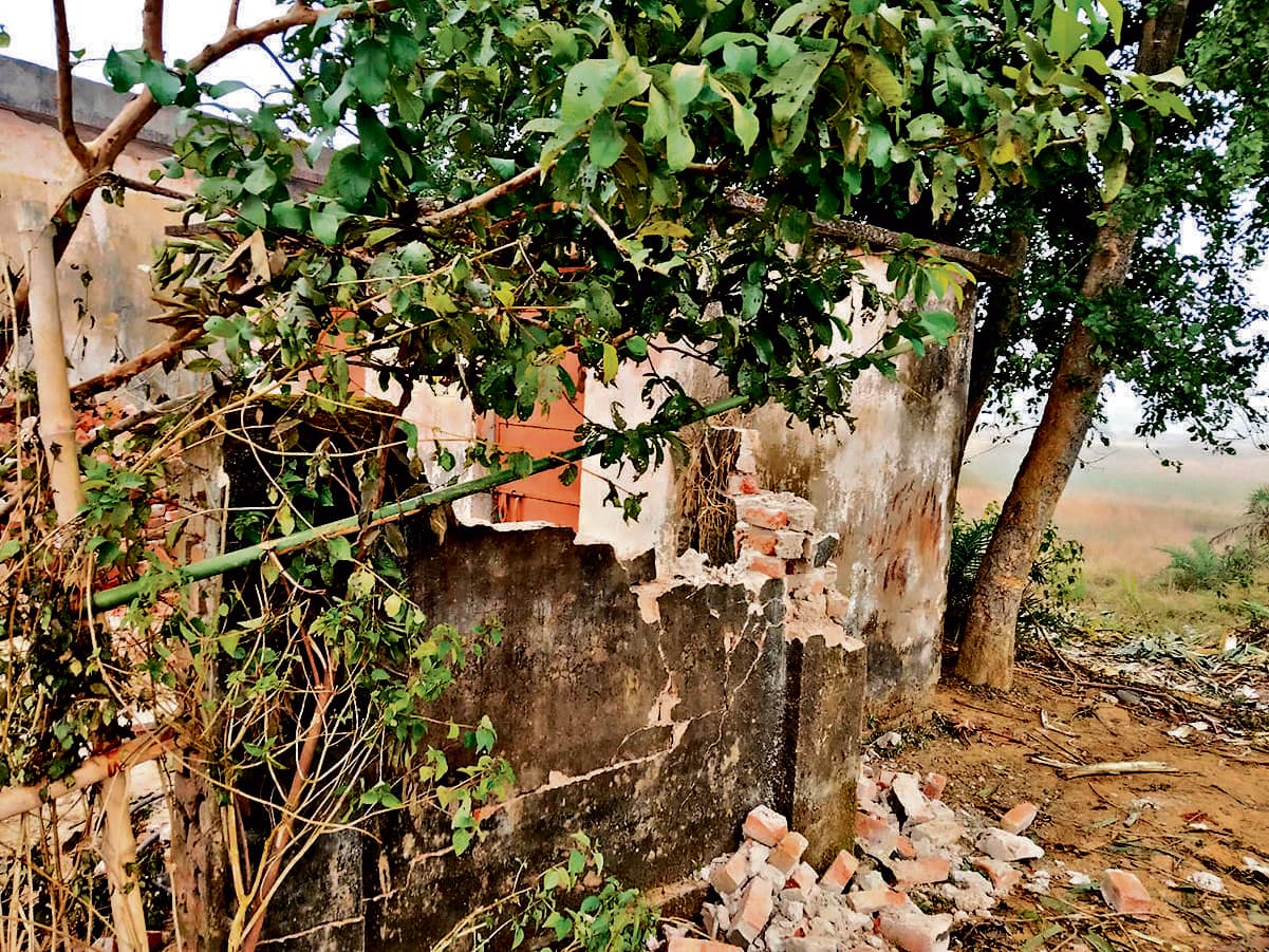 Rourkela News: लाठीकाटा में हाथियों ने घर ताेड़ा, धान की फसल को नष्ट की