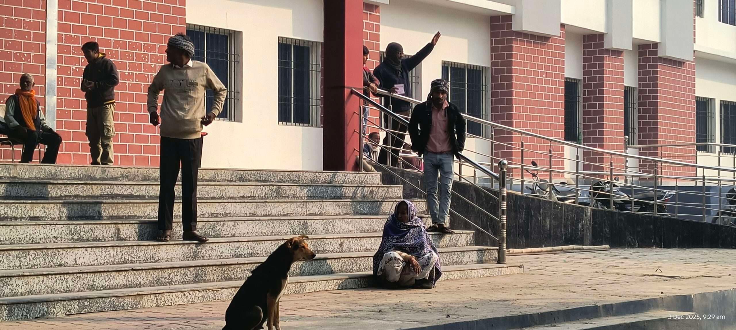 मॉडल सदर अस्पताल में आवारा कुत्तों का बढ़ गया आतंक, इलाज कराने आये बुज़ुर्ग व बच्चे बने शिकार