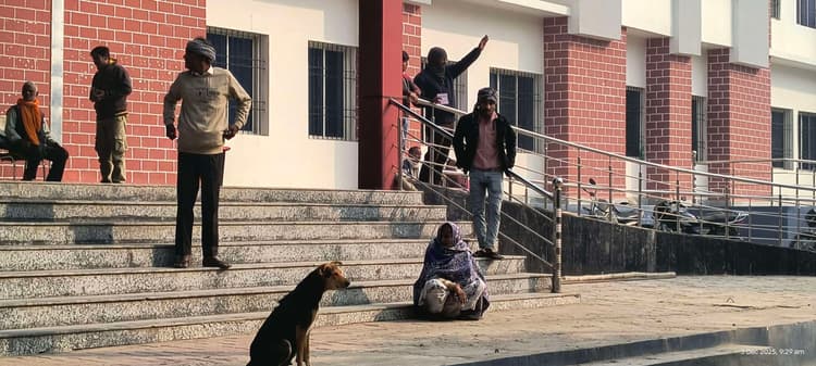 मॉडल सदर अस्पताल में आवारा कुत्तों का बढ़ गया आतंक, इलाज कराने आये बुज़ुर्ग व बच्चे बने शिकार