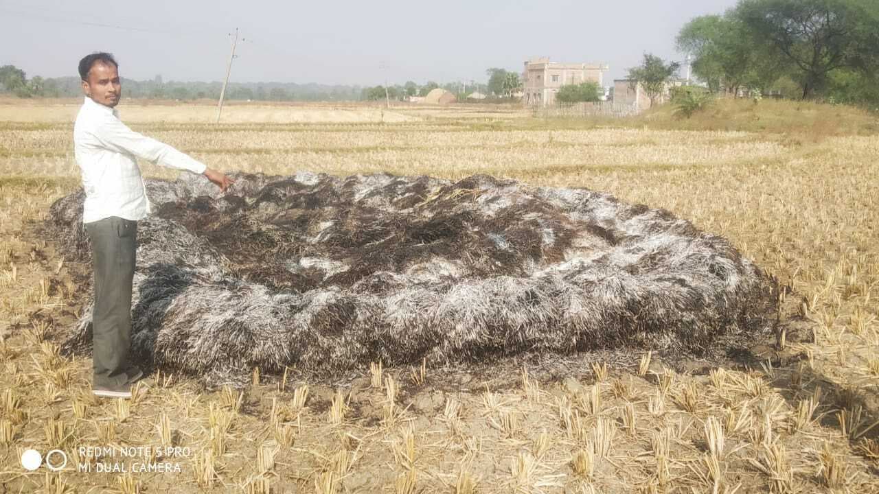 धान की फसल में आगजनी, किसानों ने मांगा मुआवजा