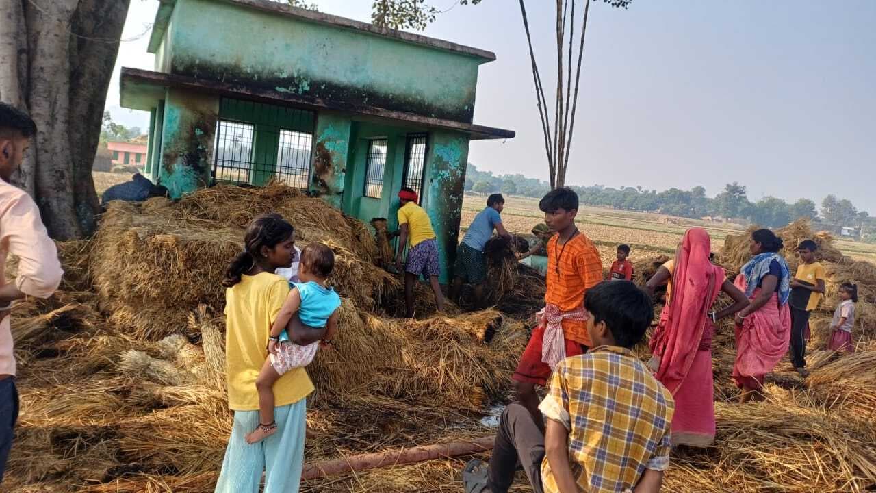 धान के पुंज जलकर राख, किसानों की पांच बीघा फसल नष्ट