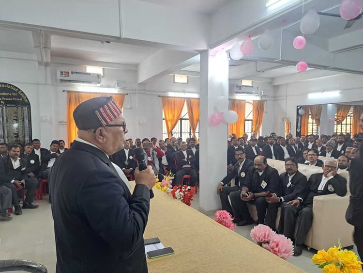 अधिवक्ता दिवस पर कार्यक्रम का किया आयोजन