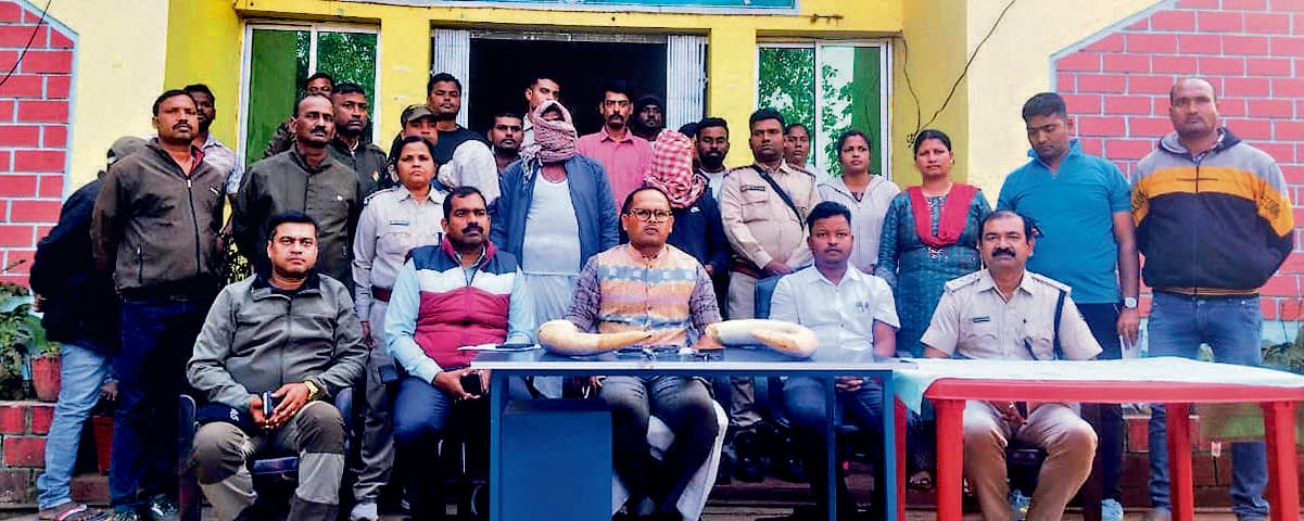 Chaibasa News : चंपुआ से हाथी के दो दांत बरामद, तीन आरोपी गिरफ्तार