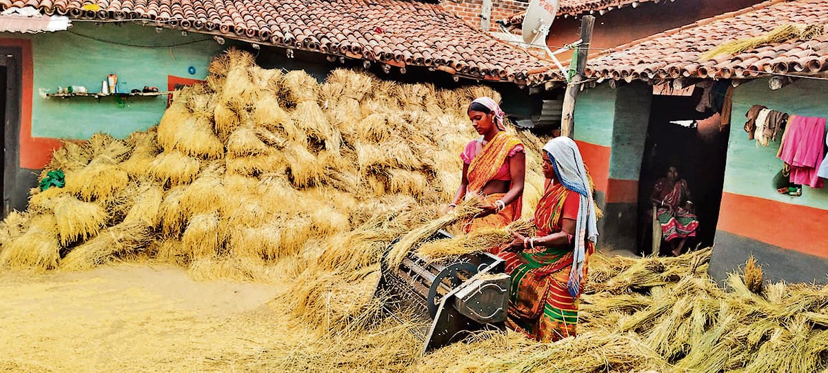 East Singhbhum News : धान खरीद में हो रही देरी से किसान परेशान, सस्ती दर पर बेचने को विवश